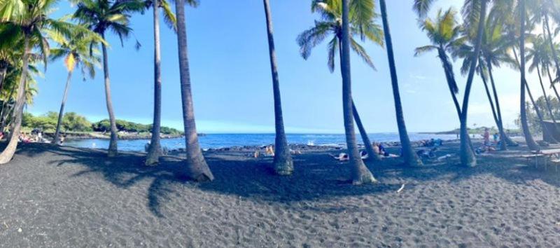 Charming 1 Bedroom Beach Condo Prime Location Great Value Pahala Екстериор снимка